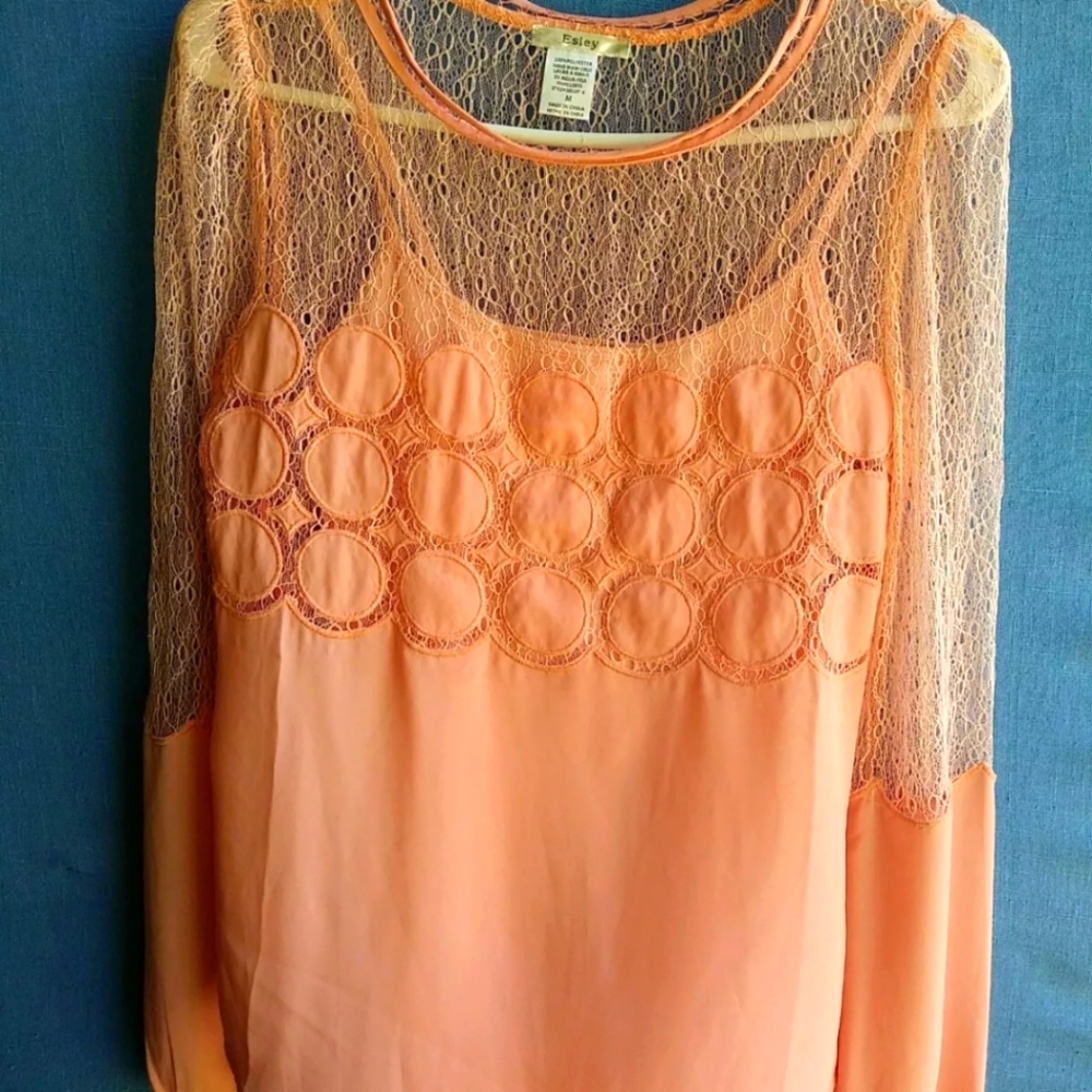 Esley SZ Medium M Coral Sheer Long Sleeve Top